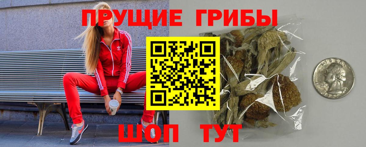 Галлюциногенные грибы мицелий  Псилоцибиновые грибы мицелий  Вход с VPN  Белореченск 