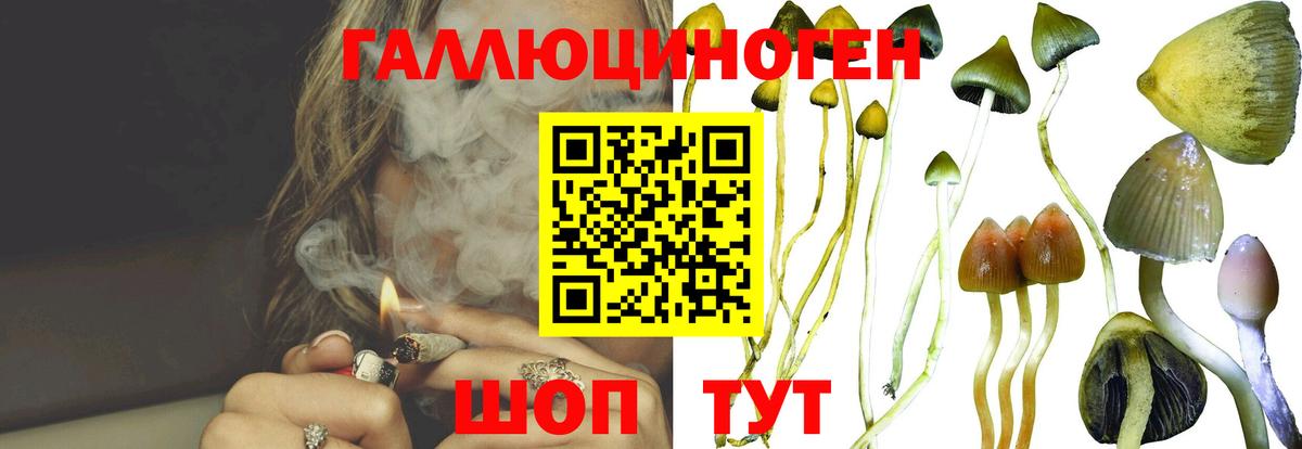 Псилоцибиновые грибы Magic Shrooms Белореченск