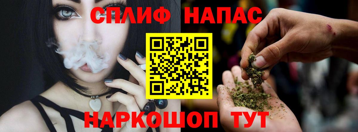 Каннабис планчик  Вход с VPN  МАРИХУАНА ГИДРОПОН  Белореченск  Конопля конопля 